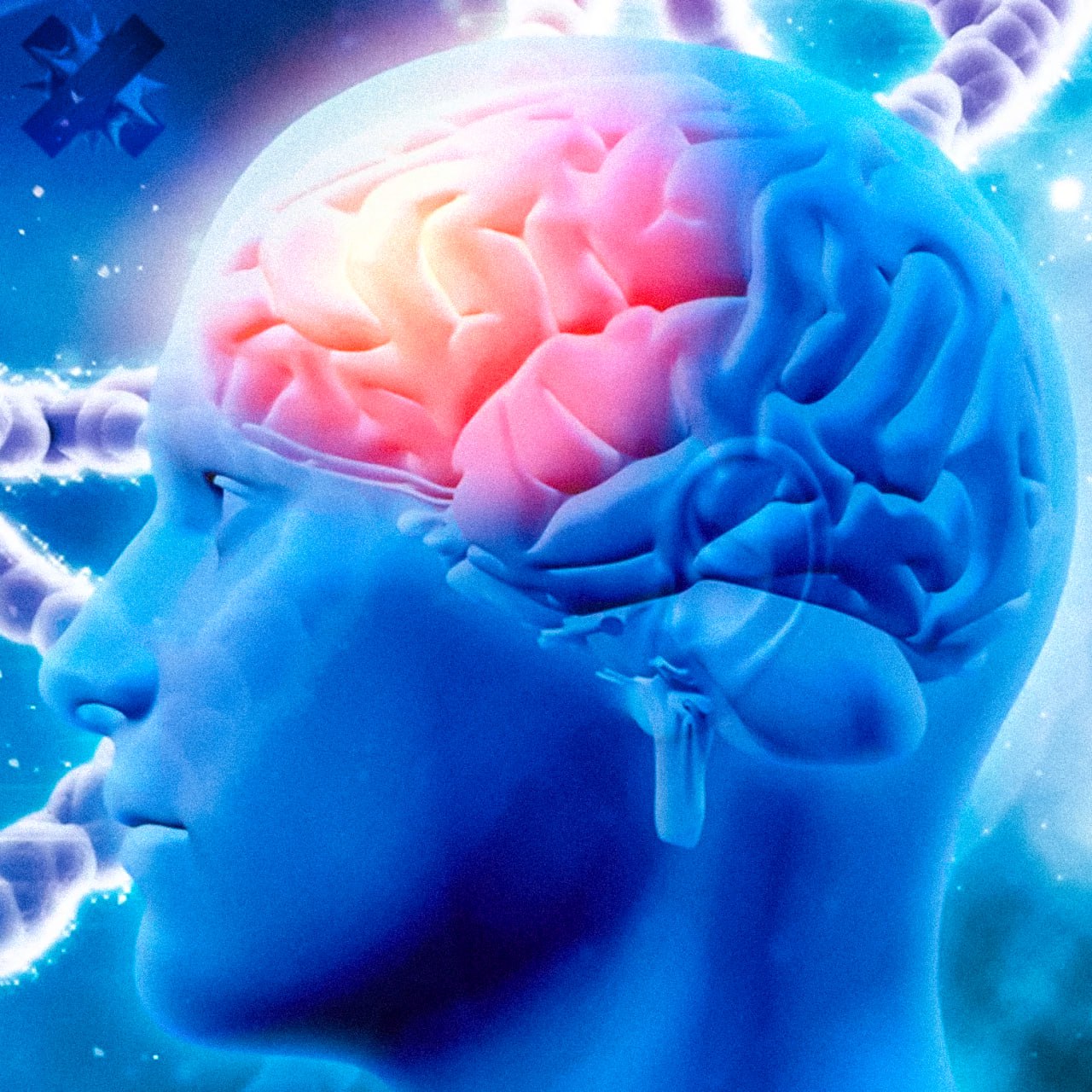 Мозг человека начинает стареть в 36 39 лет Академик РАН Геннадий Онищенко объяснил до этого возраста мозг активно генерирует новые идеи а потом работает с уже накопленным опытом Он добавил что скорость старения у всех разная и зависит в том числе от генетики   самое время действовать мой уже постарел НМШ