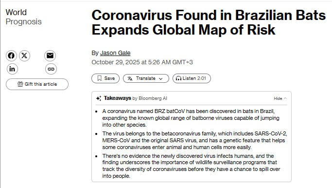 У летучих мышей в Бразилии обнаружен новый коронавирус Как сообщает агентство Bloomberg Вирус получивший название BRZ batCoV был обнаружен у небольшого вида насекомоядных летучих мышей распространенных в Латинской Америке Для исследования образцы животных собирались в бразильских штатах Мараньян и Сан Паулу По словам исследователей доказательств того что новый коронавирус представляет опасность для людей пока нет Однако ученые отметили наличие у BRZ batCoV короткого участка шиповидного белка способного расщепляться ферментами в клетках человека и животных Такая особенность облегчает вирусам проникновение в клетки хозяина Подпишись на Радио КП