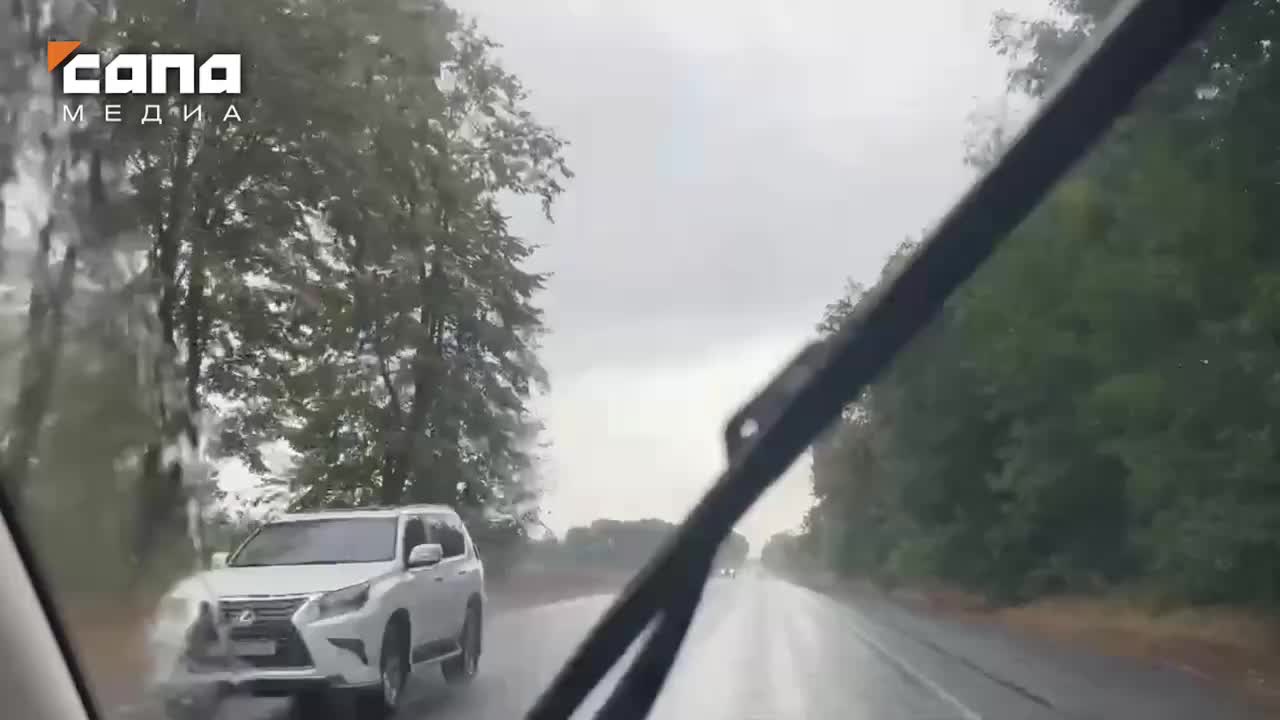 Проверка законности вырубки лесов и споры о земельном участке в Северной Осетии