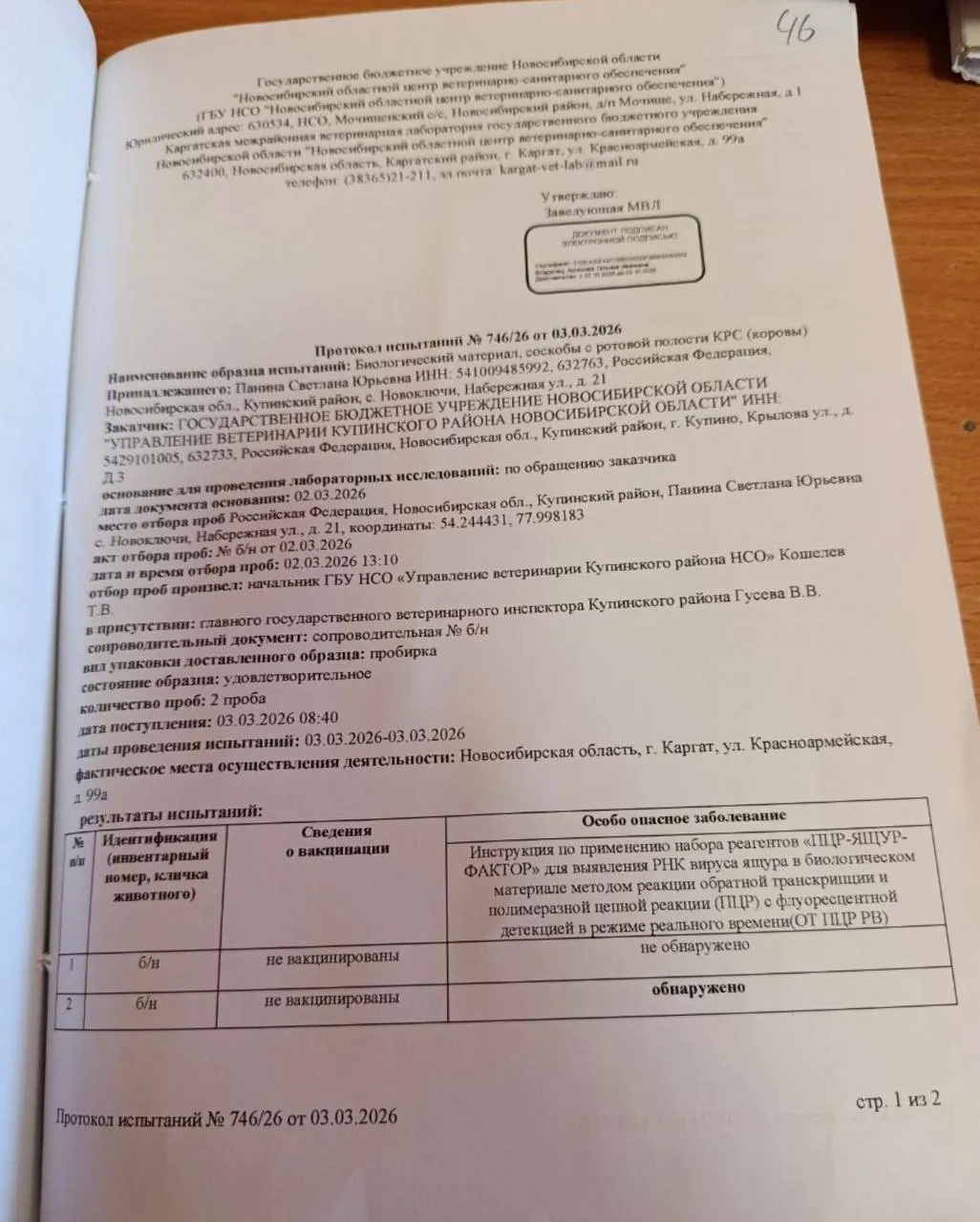 Власти Новосибирской области официально подтвердили вспышку ящура Новосибирский областной центр ветеринарно санитарного обеспечения выявил ящур у коровы фермера Светланы Паниной из села Новоключи документ опубликовало издание SibPublicFaces Его представило в суде региональное управление ветеринарии которое подало иск к женщине Издание также сообщает что у данной лаборатории нет аккредитации по исследованию ящура Из документа следует что 2 марта у двух коров взяли пробы один из анализов оказался положительным на ящур Уже 12 марта пока Паниной не было дома ветеринары усыпили всех животных в ее хозяйстве 150 баранов 40 коров семь коз трех верблюдов и двух поросят В середине марта жители новосибирских сёл рассказывали Осторожно Media что видели как скот прививали вакциной от ящура Также в нашем распоряжении оказались фото вакцины от ящура которой предположительно прививали скот в регионе Ранее власти объясняли уничтожение животных подозрением на бешенство и пастереллёз Читайте меня в MAX   max ru bloodysx