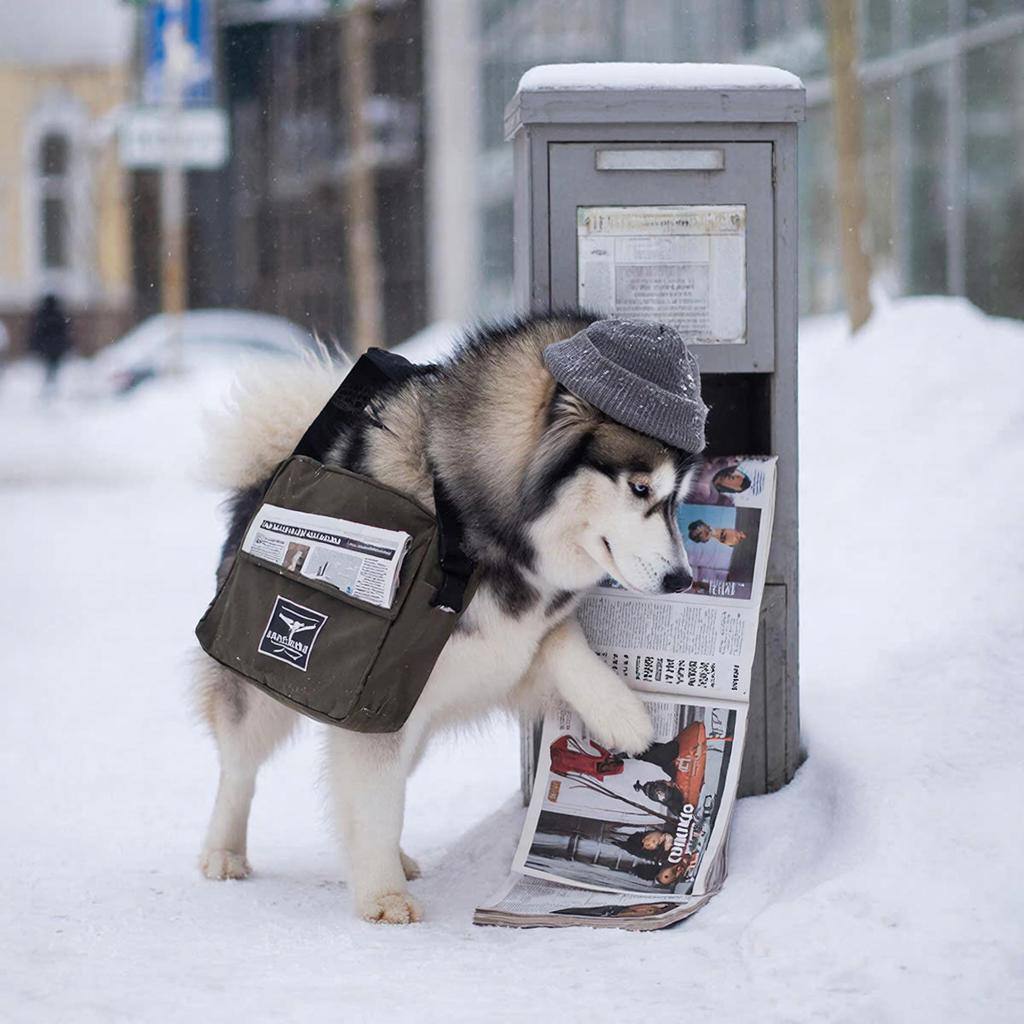 Почта России начала доставлять посылки по номеру телефона Для подключения функции нужно получить согласие адресата сообщили в организации После отправки получателю автоматически приходит трек номер а груз кладут до востребования