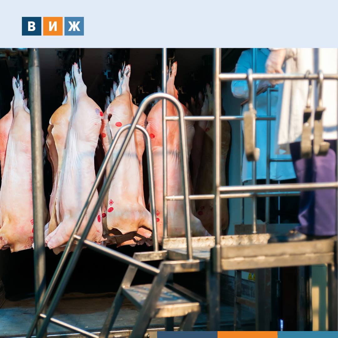 Филиппины открыли рынок для российской свинины Филиппинские власти отменили ограничения на ввоз свиней свиноводческой продукции и субпродуктов из России сообщили в пресс службе Россельхознадзора Департамент сельского хозяйства страны признал российскую систему регионализации по африканской чуме свиней и оценил меры ветеринарного контроля как достаточные и эффективные Снятие запрета открывает значительные перспективы для российских производителей свинины учитывая высокую емкость филиппинского рынка и растущий спрос на качественную мясную продукцию отметили в Россельхознадзоре На первом этапе экспорт смогут осуществлять семь российских предприятий при содействии Минсельхоза и торгпредства России на Филиппинах Подписывайтесь на ВиЖ в Мах