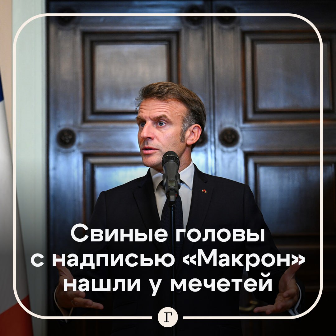 Свиные головы с надписью Макрон нашли у мечетей в Париже Прохожие обнаружили части свиней у нескольких мусульманских молитвенных сооружений Одна из голов лежала в чемодане остальные просто на улице перед мечетями На останках была сделана синяя надпись Макрон Этим делом занялись в парижской прокуратуре Читайте Газету Ru в MAX Участвуйте в розыгрыше