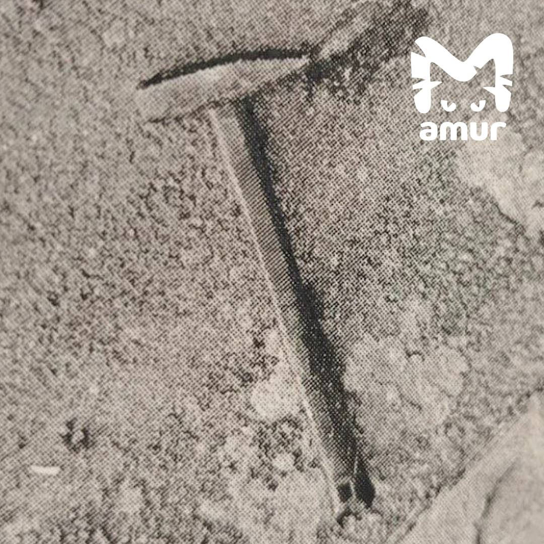 Молотком избил кассиршу коллега в Находке В тот день 43 летний мужчина не работал На склад пришел специально напал на продавщицу ей 33 несколько раз ударил её по голове Затем похитил мобильник деньги из кассы и сбежал Долго скрываться не получилось попался полиции Оказалось был пьян Возбуждено уголовное дело о разбое грозит до 10 лет колонии