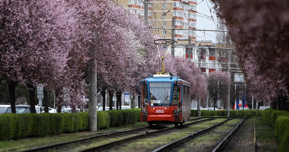 Краснодар вошел в топ-10 российских городов с развитым общественным транспортом  Заместитель председателя Общественного совета Министерства транспорта РФ Илья Зотов представил рейтинг лучших российских городов по уровню развития транспортной системы и инфраструктуры. Краснодар оказался на шестой позиции списка, уступив лидерские строчки таким городам, как Пермь, Челябинск, Курск, Нижний Новгород и Кострома.  Эксперт подчеркнул, что хотя представленные города демонстрируют высокие показатели, идеальных решений пока нигде не реализовано. Тем не менее, положительный опыт указанных субъектов заслуживает изучения и адаптации, учитывая особенности каждого конкретного региона.   РИА Новости / Виталий Тимкив    Написать в редакцию/заказать рекламу:     Подписаться на «Утренний Юг»