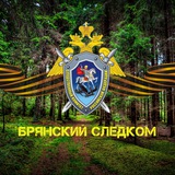 Брянский Следком
