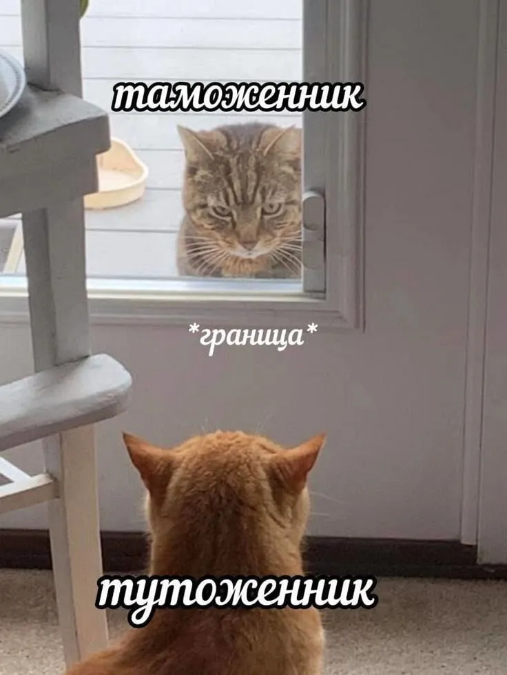 Челябинцы привезли кораллы из Египта и нарвались на административку Трое туристов привезли из страны пирамид 27 морских сувениров На таможне путешественников остановили и попросили документы на находки но никаких бумаг у них естественно не оказалось Экспертиза показала что предметы являются дериватами скелетами и по международной Конвенции 1973 года относятся к исчезающим видам Поэтому для провоза через границу их нужно декларировать В итоге на одного из туристов составили два административных протокола остальных ждет такое же наказание Им придется сдать кораллы и заплатить штраф Читайте нас в МАКС мы есть и там