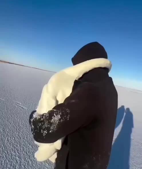 Мужчина спас пару лебедей, застрявших во льду озера Торсыкбай в Казахстане