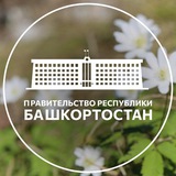 Правительство Башкортостана