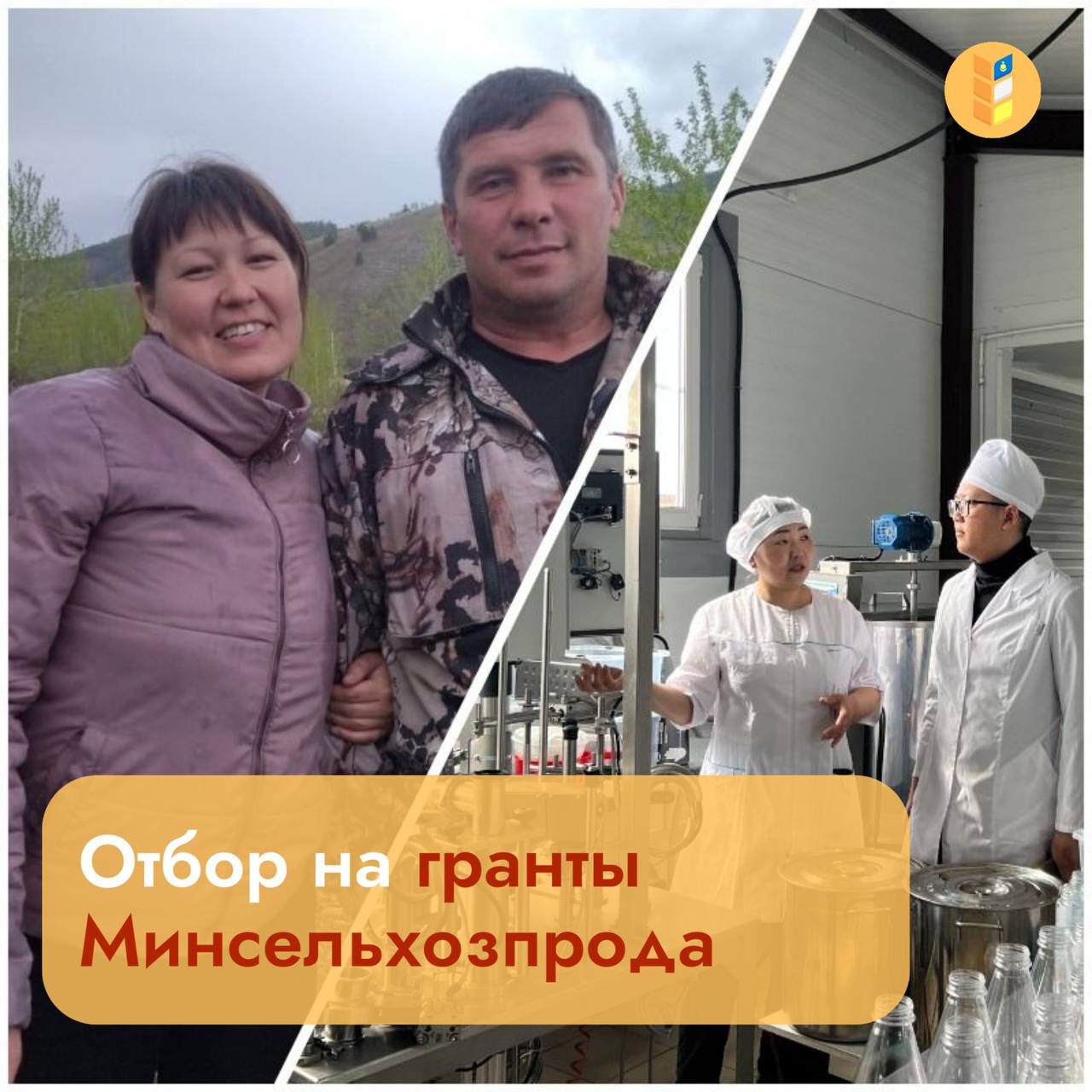 Минсельхозпрод объявляет прием заявок на гранты С 27 октября по 20 ноября открыт прием заявок на два направления государственной поддержки Подача документов осуществляется через портал Электронный бюджет 1 Грант на развитие материально технической базы СПоК Направления использования Строительство реконструкция и модернизация производственных объектов Приобретение и монтаж оборудования Погашение до 20 льготного инвестиционного кредита Приобретение автономных источников энерго и водоснабжения Ссылка на отбор 2 Грант на развитие семейной фермы Направления использования Строительство и модернизация производственных объектов Приобретение земельных участков сельхозназначения Обустройство автономных коммуникаций Погашение до 20 льготного инвестиционного кредита Ссылка на отбор Для консультаций обращайтесь ГБУ ИМЦ по номеру 8 3012 44 12 18 Минсельхозпрод Подписаться