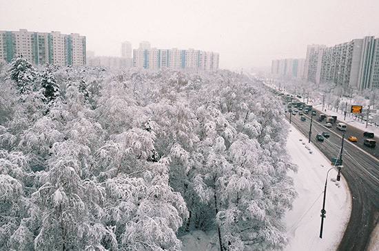 Ночь с 26 на 27 ноября стала самой холодной в Москве за текущую осень, — «Фобос».