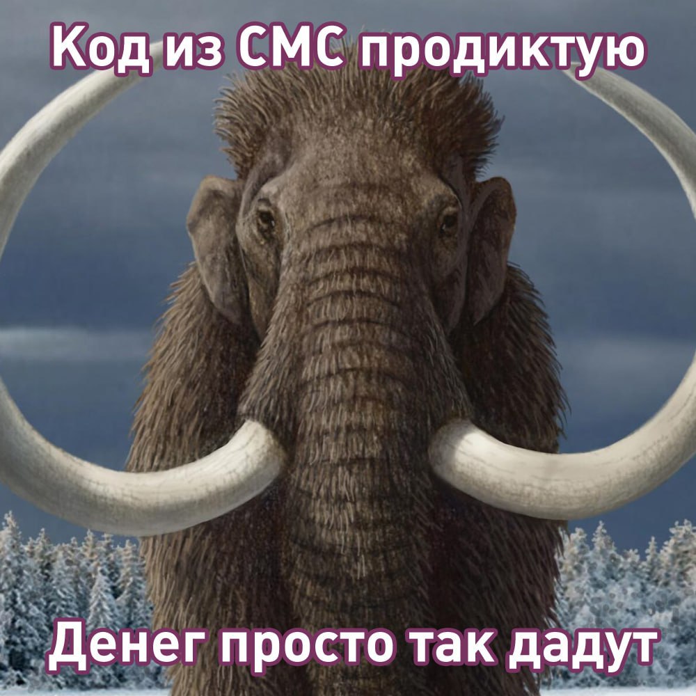 Мошенники придумали новый вид развода они пишут от имени Wildberries Схема такая появляются посты с кликбейтными заголовками в духе Мужчину задержали в банке при попытке снять крупную сумму наличных Он объяснил что деньги заработал честно благодаря акции от Wildberries которая позволяет ежедневно зарабатывать крупные суммы и в конце поста ссылка на фишинговый сайт Сам WB заявил что не надо верить таким постам и вводить свои личные данные на мутных сайтах с дополнительным заработком на маркетплейсах И что если условия работы подозрительно выгодные вас переводят в тг каналы чаты или в какой то момент просят заплатить комиссию либо сообщить код из смс это наверняка мошенники А что ещё случилось