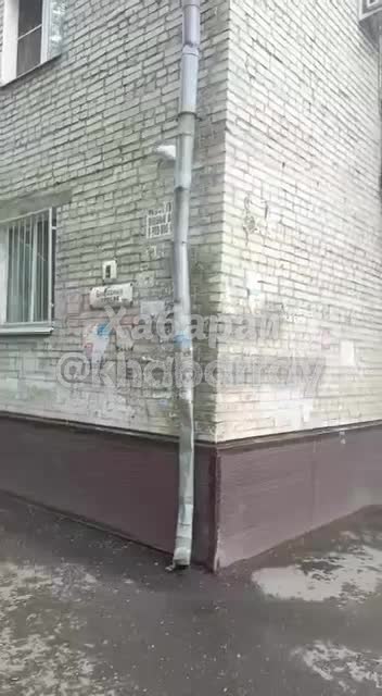 Дерево упало на автомобили в Хабаровске