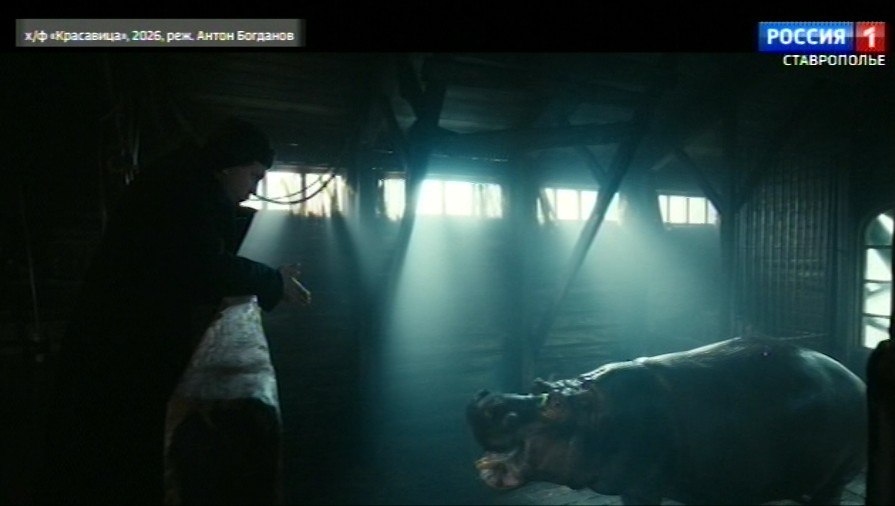Ленинградский зоопарк в блокаду сердца зрителей покоряет новый фильм На большие экраны вышла драматичная история о событиях тяжёлого 1941 года Фильм Красавица режиссера Антона Богданова покоряет сердца зрителей В основе кинокартины лежит реальная история о том как сотрудники Ленинградского зоосада спасали животных в блокаду в том числе и самую знаменитую обитательницу бегемотиху Красавицу Корреспондент Дарья Казявкина расскажет подробнее Смотрите ее сюжет здесь ГТРК Ставрополье Читайте нас в MAX