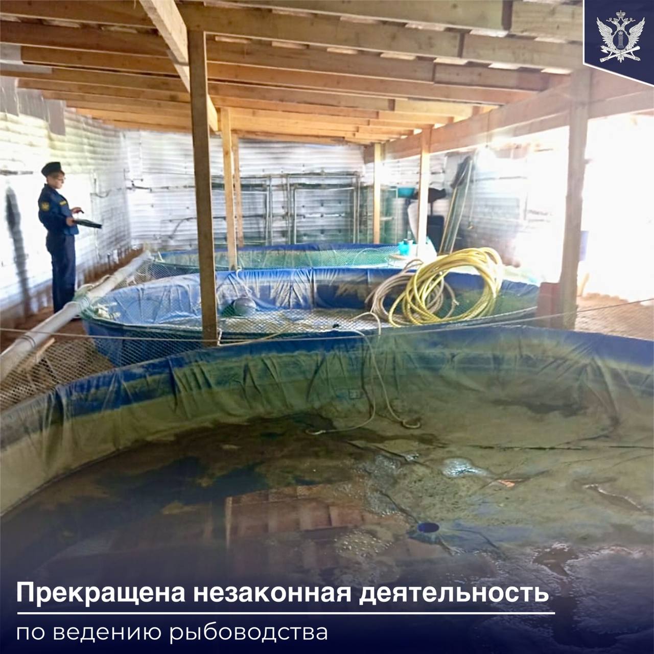 Жительница Владимирской области арендовала загородный дом с участком выкопала пруды и построила сарай в котором разводила белугу и осетров для продажи икры Для этого она поставила 6 метровый бассейн в гараже Требования исполнительного документа о демонтаже оборудования для осуществления незаконной деятельности женщина игнорировала Тогда судебным приставом в отношении жительницы региона были приняты меры административного воздействия Это послужило стимулом к исполнению судебного решения Женщина провела демонтаж и вывоз рыбы После этого судебные приставы проверили пруды на земельном участке были осушены сарай и использованное в незаконной деятельности оборудование демонтировано и вывезено с территории Бассейн в гараже жилого дома также демонтирован ФССП новость дня