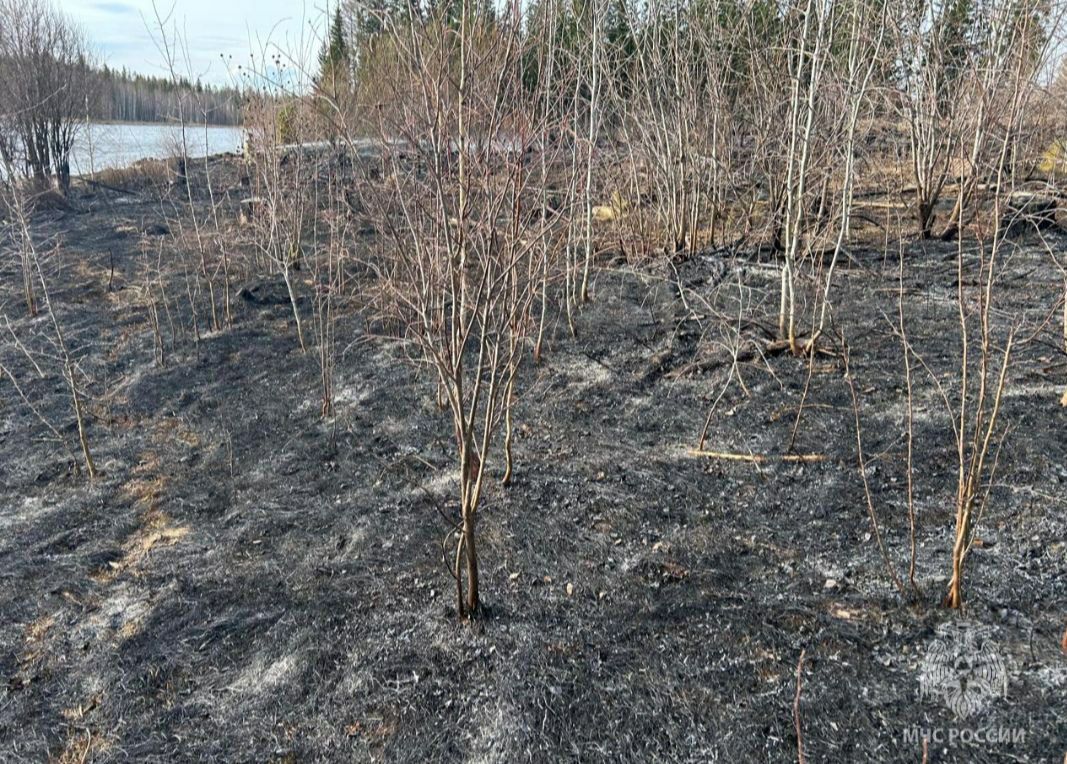 В Тулунском районе установлены виновные в возникновении двух лесных пожаров 20 мая в двух километрах от села Азей патрульно-маневренной группой был ликвидирован лесной пожар. В ходе проверки установлено, что 37-летний мужчина, проживающий в населенной пункте, во время выпаса скота бросил непотушенный окурок. Из-за чего сухая трава воспламенилась. Он не придал этому значения и уехал. Площадь лесного пожара составила 15 гектаров. В километре от населенного пункта Целинные земли 4 мая загорелся лес. Дознаватели МЧС России установили, что 34-летний местный житель на берегу реки оставил непотушенный костёр. Ветер разнес искры, что привело к возгоранию сухостоя в лесу. Площадь, охваченная огнём, составила 1,19 гектаров. По фактам пожаров в соответствии со статьей 261 Уголовного Кодекса Российской Федерации проводятся проверки. Виновные несут ответственность за нарушения требований пожарной безопасности в лесах в условиях особого противопожарного режима. Напоминаем о запрете посещения лесов при наступлении III и выше классов пожарной опасности. При обнаружении лесного пожара незамедлительно сообщите о нем в Единую диспетчерскую службу по лесам Иркутской области – 8 3952 22-99-68, либо на прямую линию лесной охраны - 8-800-100-94-00.