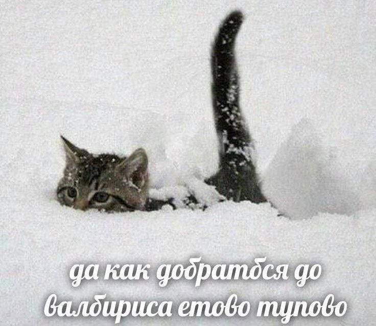 Декабрь стал самым снежным за последние 9 лет в Перми Всего за 22 дня высота снежного покрова увеличилась на 50см и превысила отметку в полметра впервые с 2016 года потом будет рекорд по расстаиванию     Подписаться   Дать буст Мы в MAX