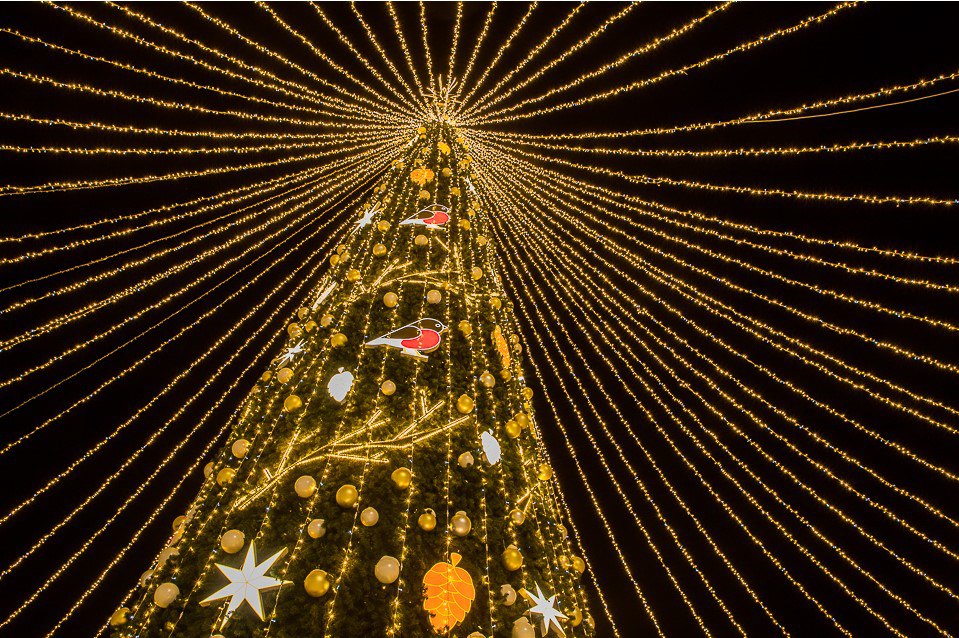 В Омске представили программу новогодних мероприятий в статусе будущей Культурной столицы Администрация представила программу зимних мероприятий Уже работает Сказочная почта открываются выставки а 28 декабря в Омской крепости появится главная ёлка ледовые инсталляции и горка В официальной программе запланировано 81 мероприятие Новогодняя ночь Праздник в Крепости пройдёт с 23 30 до 03 00 трансляция обращения Президента обжиг ледовой скульптуры и развоз горожан по районам Для детей Запланированы 55 представлений включая цирковые А также подготовлена программа Ёлка чудес Спортивная зима Директор департамента спорта администрации города Омска Евгений Баньковский рассказал что для омичей подготовят 160 хоккейных коробок и лыжные трассы в городских парках Впервые пройдут бесплатные мастер классы по керлингу 7 января муниципальные ледовые площадки будут работать бесплатно с прокатом коньков и участием Деда Мороза Полная карта мероприятий на сайте администрации Омска