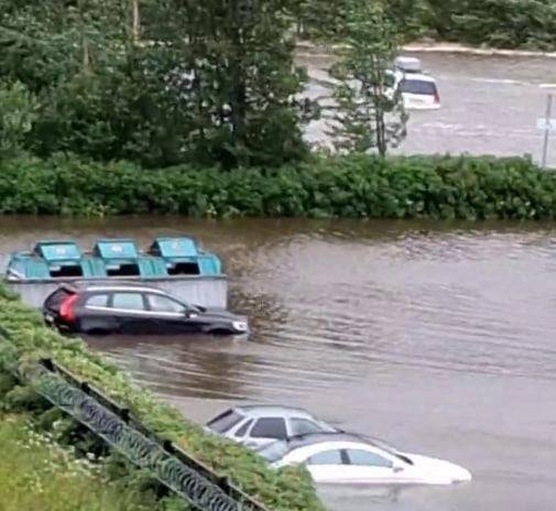 Из-за шторма в Петербурге закрыты парки музея-заповедника «Петергоф», Летний и Михайловский сады, Ленинградский зоопарк и парк-дендрарий Ботанического сада. Фото / видео от подписчиков