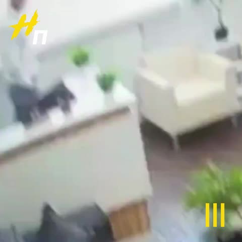Охранник криптообменника в Петербурге похитил 11 миллионов рублей и был задержан