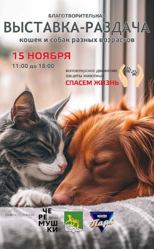 Во Владивостоке в эту субботу 15 ноября пройдет благотворительная выставка раздача животных Всех кто планирует завести себе четвероногого друга будут ждать в ТРК Черемушки на 4 и 5 этажах с 11 00 до 18 00 Понравившихся питомцев можно забрать с собой домой по договору об ответственном содержании Для этого нужен паспорт Организаторы выставки раздачи волонтеры движения Спасем жизнь при поддержке администрации Владивостока в рамках проекта Животные города В Животные города В