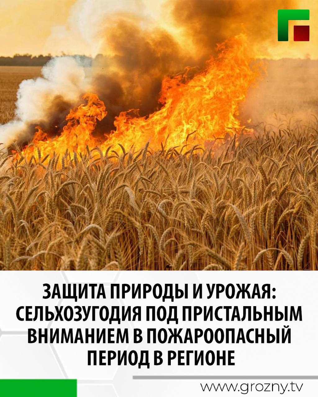 Пожары на сельскохозяйственных угодьях представляют собой серьезную угрозу, как для сельскохозяйственного производства, так и для экологии в целом. Возгорания приводят к уничтожению посевов, лесных массивов и даже к угрозе жизни людей. Для предотвращения подобных ситуаций важно соблюдать правила пожарной безопасности. 1. Создание противопожарных разрывов: Важно организовать зоны, свободные от растительности, которые будут служить барьером для распространения огня. 2. Регулярная уборка территорий: Своевременная уборка сухой травы, мусора и других легковоспламеняющихся материалов снижает риск возникновения пожара. 3. Обеспечение наличия средств пожаротушения: На сельскохозяйственных угодьях должны находиться огнетушители, бочки с водой или другие средства для быстрого реагирования на возгорание. Работники должны быть обучены правилам их использования. 4. Необходимо регулярно проводить инструктажи по пожарной безопасности для всех работников, включая сезонных. Знание правил поведения в случае возникновения пожара может спасти жизни и имущество. 5. Важно следить за прогнозами погоды, особенно в период засушливых и жарких месяцев, когда риск возгораний возрастает. 6. Необходимо следить за состоянием техники, используемой на полях. Искры, возникающие из-за неисправных механизмов или перегрева, могут стать причиной пожара. Регулярное техническое обслуживание и проверка оборудования помогут минимизировать риски. 7. Сжигание остатков после уборки урожая является распространенной практикой, но она крайне опасна. Важно использовать более безопасные способы утилизации, такие как компостирование или забор остатков на переработку. По последним данным МЧС по ЧР, с начала года на территории Чеченской Республики зарегистрировано более 700 пожаров, треть из которых связаны с поджиганием сухой травы. В условиях аномальной жары ведомство призывает придерживаться правил безопасности.