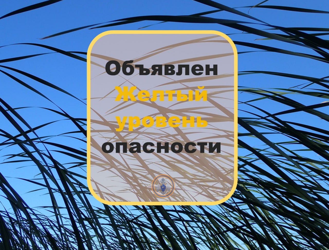 Внимание Ветер Объявлен желтый уровень опасности. Ночью 01.05.2025 местами по Самарской области ожидается гроза, сохранится усиление юго-западного ветра, порывы 15-20 м/с. МЧС России напоминает: избегай нахождения рядом с линиями электропередач, деревьями, щитами рекламы и витрин; держись подальше от карнизов домов, рекламных стендов и растяжек; не стой возле непрочных навесов и прогнивших стволов деревьев. Будь внимателен и осторожен!