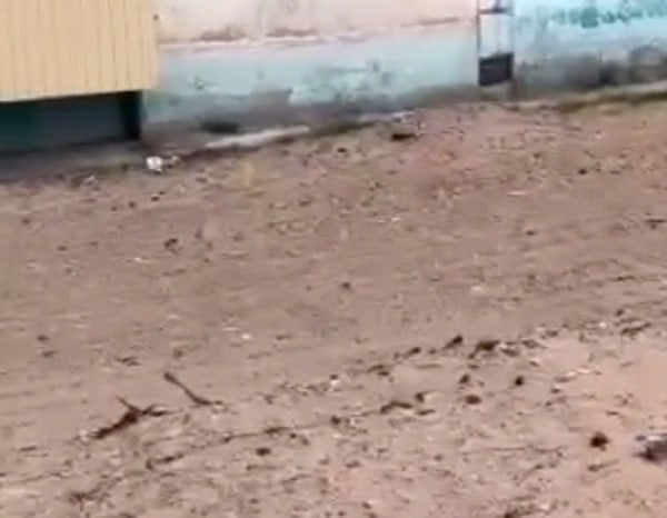 В 102 квартале Улан-Удэ ещё полгода назад отремонтировали теплотрассу. Но тротуары не восстановили до сих пор, рассказали в ОНФ. - Невозможно пройти. Места нет вообще. Что такое? – возмущаются местные жители. – Каждый год такая история. Замучились! Мы, старики, не знаем, как пройти. От отсутствия благоустройства страдают не только пенсионеры, но и мамы с колясками и люди с ограниченными возможностями