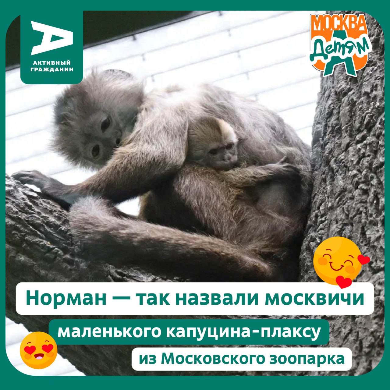 Имя Норман составленное из слогов имён родителей Нори и Матроса стало абсолютным фаворитом голосования и опроса Это имя символизирующее продолжение семейной истории получило поддержку 60 взрослых участников и 45 юных москвичей в возрасте от 6 до 14 лет Участниками голосования и опроса стали свыше 229 9 тысячи человек в проекте Активный гражданин а также более 9 7 тысячи детей на платформе Активный гражданин детям Познакомиться с Норманом и его семьёй можно в павильоне Дом приматов на новой территории Московского зоопарка Самые важные новости Москвы в канале Сергея Собянина в MAX techmos