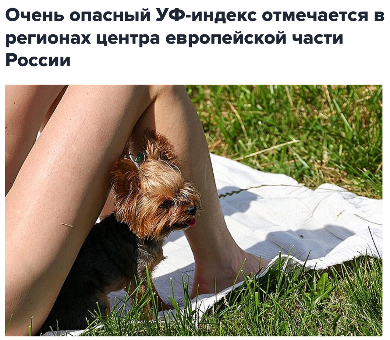 В регионах центра европейской части России отмечается очень высокий ультрафиолетовый индекс, при нахождении под прямыми солнечными лучами можно получить тепловой удар. «Очень опасен сейчас ультрафиолет. В центре европейской России сейчас ультрафиолет очень высокий, превышает семёрку. Это редко бывает, потому что воздух чистый, облаков нет. В этом диапазоне ультрафиолет 0,20-0,40 микрон, очень жёсткий», — сказал научный руководитель Гидрометцентра Роман Вильфанд. Он отметил, что «если находиться под прямыми солнечными лучами, то можно и тепловой удар легко получить, перегрев кожу». При таком уровне требуется повышенная защита: полуденные часы рекомендовано пережидать внутри помещений, вне помещений нужно оставаться в тени, также необходимо носить одежду с длинными рукавами и пользоваться солнцезащитным кремом.