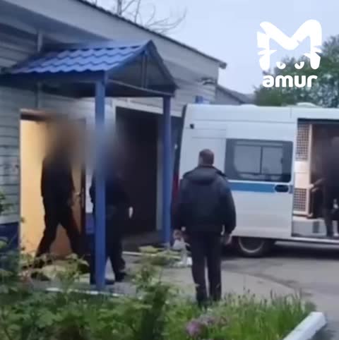 Житель Поронайска задержан за грабеж и нападение на полицию