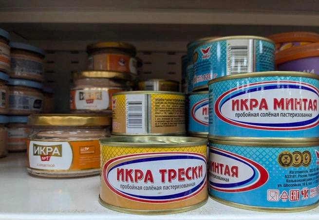 Продажи альтернативных видов икры в России выросли на четверть  По данным Нильсен с сентября 2024 года по август 2025 года спрос на белую икру минтая сельди трески а также мойвы вырос на 27 8 в натуральном выражении Такая тенденция в т ч связана с подорожанием красной икры продажи которой снизились на 32 6 за этот же период В I полугодии 2025 го по данным NTech реализация лососевой икры упала еще сильнее на 48 6 до 1 1 млн кг Икра минтая же прибавила 5 1 4 млн кг продажи икры сельди увеличились почти вдвое до 1 6 млн кг из трески на 39 до 1 1 млн кг Если средняя цена 1 кг натуральной красной икры по итогам I полугодия составила 7030 рублей то икры минтая 743 рубля сельди 854 рубля трески 631 рубль В результате покупатели все чаще выбирают более доступные варианты икры  Также напомним за январь июнь 2025 го значительно выросла реализация щучьей икры в семь раз до 475 тонн на 711 5 млн рублей Однако взрывной рост продаж обеспечила не натуральная а структурированная икра на нее пришлось 469 тонн Натуральной же щучьей икры было продано всего 6 5 тонн на 8 8 меньше   Рыбхоз Всё о рыбе