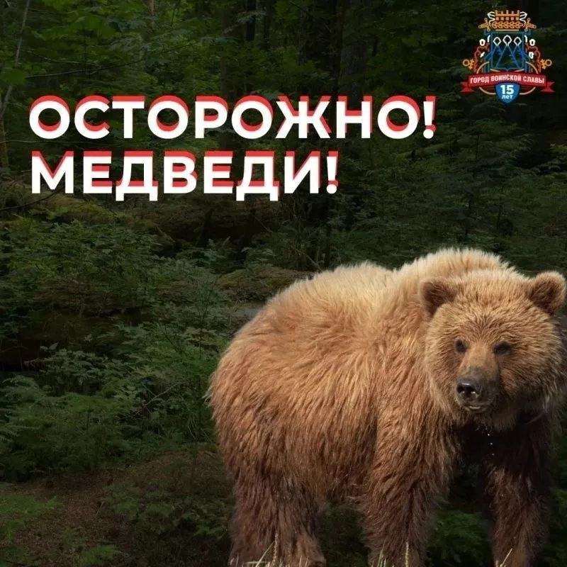 Охотники фиксируют случаи выхода медведей в городскую черту В границах Петропавловска Камчатского в особенности в лесных массивах в районе лыжных трасс в течение нескольких дней фиксируются следы выхода медведей В этой связи горожан призывают к повышенным мерам предосторожности при нахождении на природе поскольку это естественная среда диких животных Отметим что специалистами Министерства лесничего и охотничьего хозяйства ведется мониторинг прилегающих к границам городского округа мест возможного выхода медведей ПАМЯТКА При нахождении в лесопарковой зоне избегайте одиночных прогулок особенно в утреннее и вечернее время не сходите с оборудованных маршрутов и троп не оставляйте пищевые отходы и мусор при движении создавайте шум разговаривайте используйте свисток чтобы не застать животное врасплох внимательно следите за окружающей средой При встрече с медведем не приближайтесь к животному и не пытайтесь его сфотографировать с близкого расстояния не убегайте это может спровоцировать преследование сохраняйте спокойствие не делайте резких движений медленно отходите назад не поворачиваясь к медведю спиной при наличии детей немедленно возьмите их под контроль и держите рядом если медведь проявляет интерес постарайтесь создать образ который визуально будет больше зверя громко разговаривайте спокойным голосом В случае обнаружения медведя незамедлительно сообщите по следующим телефонам 112 единый номер экстренных оперативных служб 303 111 ЕДДС Петропавловск Камчатского городского округа Берегите себя и соблюдайте меры предосторожности Подписывайтесь на наш канал МАКС безопасный город медведи важная информация