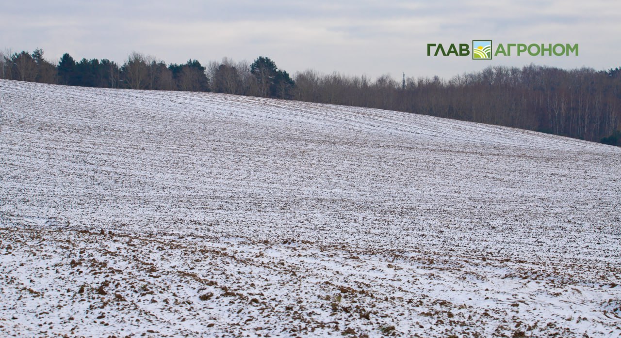 Более половины территории России покрыто снегом В настоящий момент в России покрыто снегом примерно 50 55 территории Об этом сообщил научный руководитель Гидрометцентра России Роман Вильфанд пишет ТАСС Площадь под снегом в России на прошлой неделе составила 60 сейчас же она уменьшилась до 50 55 На юге Сибири был хорошо выраженный снег который рано лег и это мешало уборке урожая сказал он По словам Вильфанда в Бурятии и частично в Забайкальском крае снег тоже сошел однако в ближайшие дни покров опять установится Снег будет постепенно ложиться и в Приморском крае