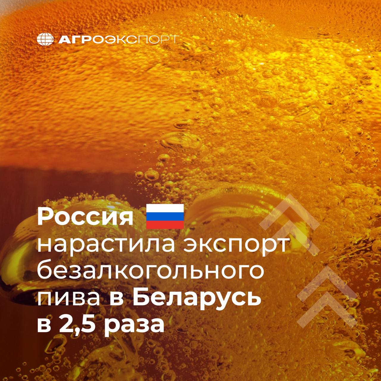 Россия нарастила экспорт безалкогольного пива в Беларусь в 2,5 раза Согласно оценкам экспертов, за 6 месяцев 2025 года Россия поставила в Республику Беларусь более 800 тонн безалкогольного пива на сумму около 400 тыс. долл. США. В сравнении с аналогичным периодом прошлого года экспорт вырос в 2,5 раза в натуральном выражении и в 2,4 — в стоимостном. Всего за январь-июнь Россия ввезла на международные рынки более 4,2 тыс. тонн безалкогольного пива на более чем 2,6 млн долл. США. В топ-5 стран импортеров в натуральном выражении входят: Беларусь Иран ОАЭ Казахстан Узбекистан На данный момент рекордным годом по объему экспорта безалкогольного пива в натуральном выражении является 2021 г., когда Россия поставила на рынки стран мира около 26 тыс. тонн напитка. #агроэкспорт #новостиАПК