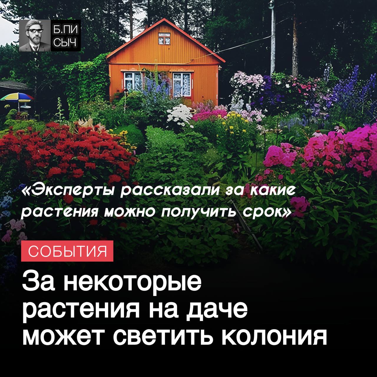 Эксперты разъяснили за какие растения на даче можно сесть.   Так в России запрещено выращивать определенные растения, такие как гармала обыкновенная, ипомея трехцветная и турбина щитковидная. Эти растения содержат психоактивные вещества и могут повлечь за собой уголовную ответственность за их культивирование.  Даже незначительное количество таких растений может привести к административному наказанию, включая штрафы и арест. Наличие 10 и более растений грозит более серьезными санкциями, вплоть до восьми лет лишения свободы.   Проверки могут быть инициированы при обнаружении даже одного экземпляра запрещенного растения на участке.  #дача #лето     подписка   написать