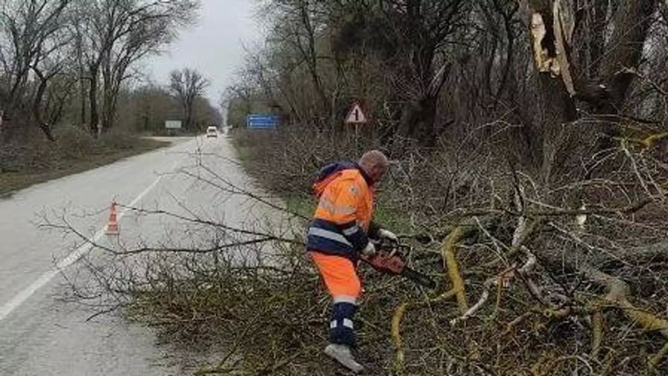 Шторм в Крыму разрушил подпорную стену в Ялте и повалил деревья СИМФЕРОПОЛЬ 11 янв РИА Новости Крым Балканский циклон оправдывает прогноз в Крыму в воскресенье днем зафиксировано шесть происшествий связанных с непогодой сообщают в республиканском главке МЧС России На территории зафиксированы шесть происшествий связанных с комплексом опасных метеоявлений в том числе происшествия связанные с падением деревьев и повреждением инженерных коммуникаций Все происшествия ликвидированы жертв и пострадавших нет рассказал замначальника регионального главка МЧС Андрей Павлюченко В Ялте осадки подмыли подпорную стену На улице Красноармейская произошло обрушение части подпорной стены частного подворья Пострадавших нет уточнили спасатели В Керчи и Ленинском ра Подробнее