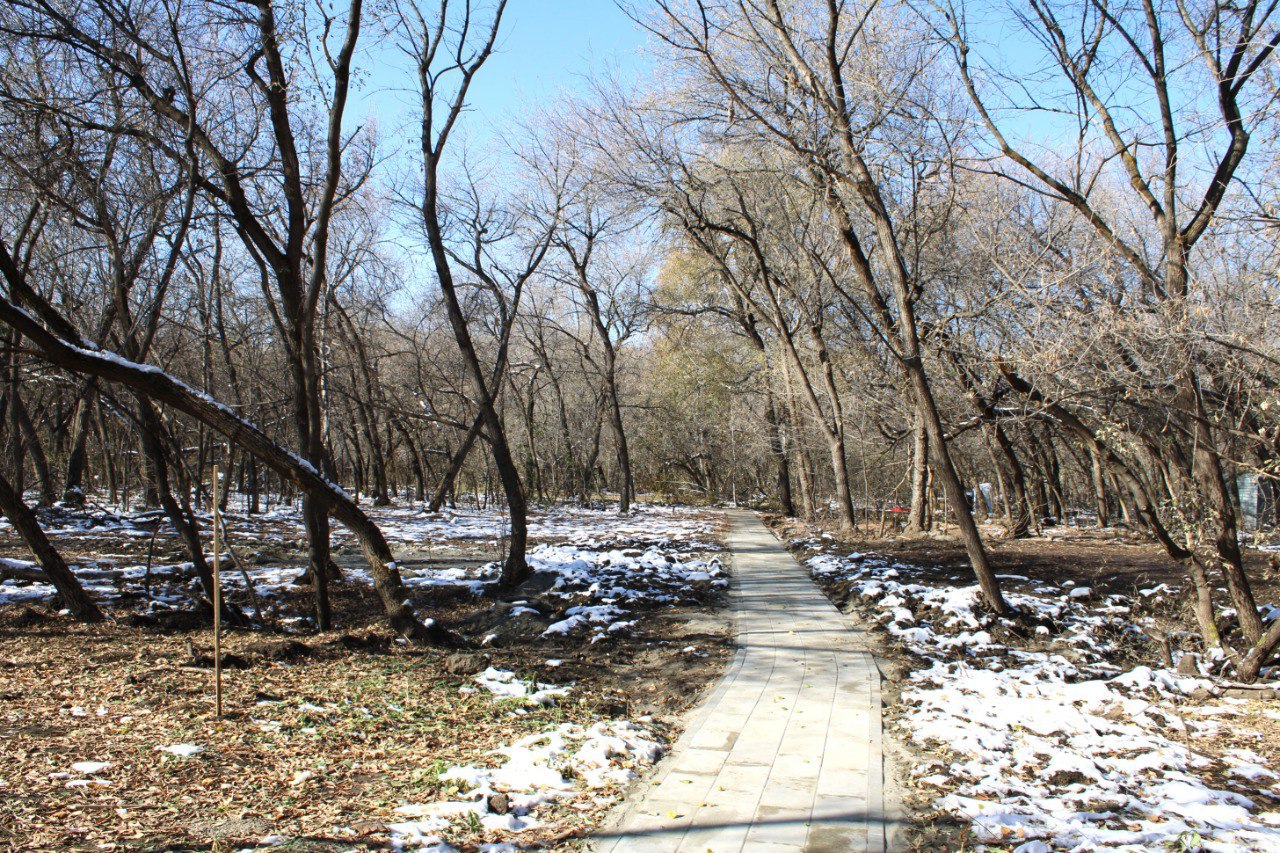 Для подготовки территории парка имени Ленина к будущему благоустройству и озеленению в течение ноября и декабря в парке пройдут работы по сносу аварийных деревьев В настоящее время комитетом по благоустройству объявлен конкурс на проведение указанных работ Итоги планируется подвести сегодня 5 ноября Всего в парке планируется снести порядка 1200 аварийных деревьев которые представляют опасность Заранее все они были обследованы специалистами комитета по благоустройству выявлены те у которых наблюдаются признаки аварийности глубокие трещины и повреждения сильный наклон поврежденные корни неравномерная крона и другие Убрать такие деревья необходимо по нескольким причинам Во первых чтобы обеспечить безопасность посетителей парка Во вторых подготовить территорию к последующему благоустройству и высадке новых молодых деревьев В третьих освободить место для обустройства будущих детских и спортивных площадок Аварийные деревья уже не приносят пользу однако могут упасть и причинить ущерб имуществу или здоровью людей С инициативной группой парка заранее обсуждался вопрос о проведении работ по сносу После определения подрядной организации будет осуществляться постоянный контроль в том числе с участием представителей общественности Напомним в этом году до середины ноября в парке планируется высадить более 2 5 тысяч деревьев сосны ели лиственницы пирамидальные тополя берёзы липы и ивы В настоящий момент из них посажено порядка тысячи посадки ведутся в рамках заранее разработанного комитетом дендроплана Это самое масштабное озеленение общественной территории в рамках реализации нацпроекта Как и в целом работы по благоустройству озеленение в парке не завершится текущим годом и обязательно будет продолжено на последующих этапах Здесь планируется высадить еще порядка тысячи крупномерных деревьев mcu barnaul