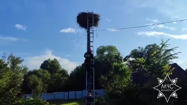 Спасатели вернули аистёнка в гнездо в Воложинском районе