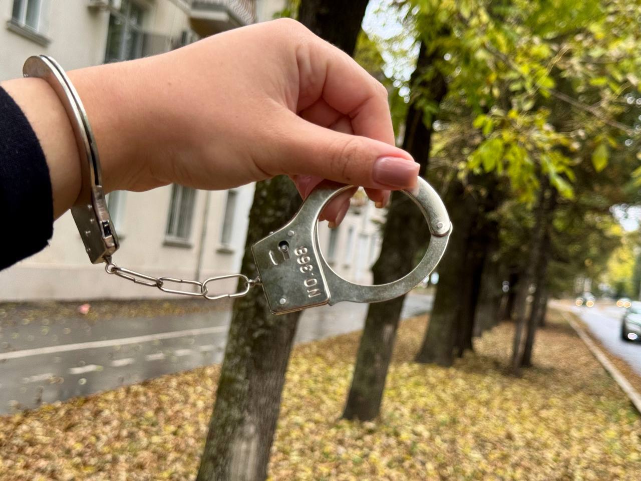 Подробности двойного убийства в Биробиджане В ночь на 17 сентября 2025 года в горотдел Биробиджана поступило сообщение о трупном запахе из соседней квартиры Преступление совершено в квартире на ул Комсомольской где были обнаружены тела 64 летнего и 42 летнего мужчин без признаков жизни с ножевыми ранениями Подозреваемой оказалась 43 летняя местная жительница которая по предварительным данным в период с 13 по 14 сентября нанесла потерпевшим удары ножом в области нижних конечностей в результате чего они скончались на месте Следователь предъявил женщине обвинение в убийстве двух лиц Биробиджанский районный суд избрал меру пресечения в виде заключения под стражу Расследование уголовного дела находится под надзором прокуратуры сажать таких спасибо за информацию Подпишись на нас в МAХ