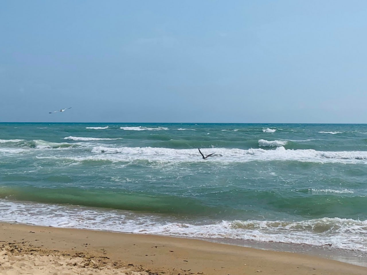 Пляжи Кубани проверил Роспотребнадзор.   Воздух и вода в Анапе и Темрюкском районе соответствуют нормам, но на закрытых пляжах сохраняется превышение вредных веществ. Купание разрешено от Геленджика до Абхазии и от Тамани до Ростовской области, сообщили в краевом оперштабе.  Кубанские Новости