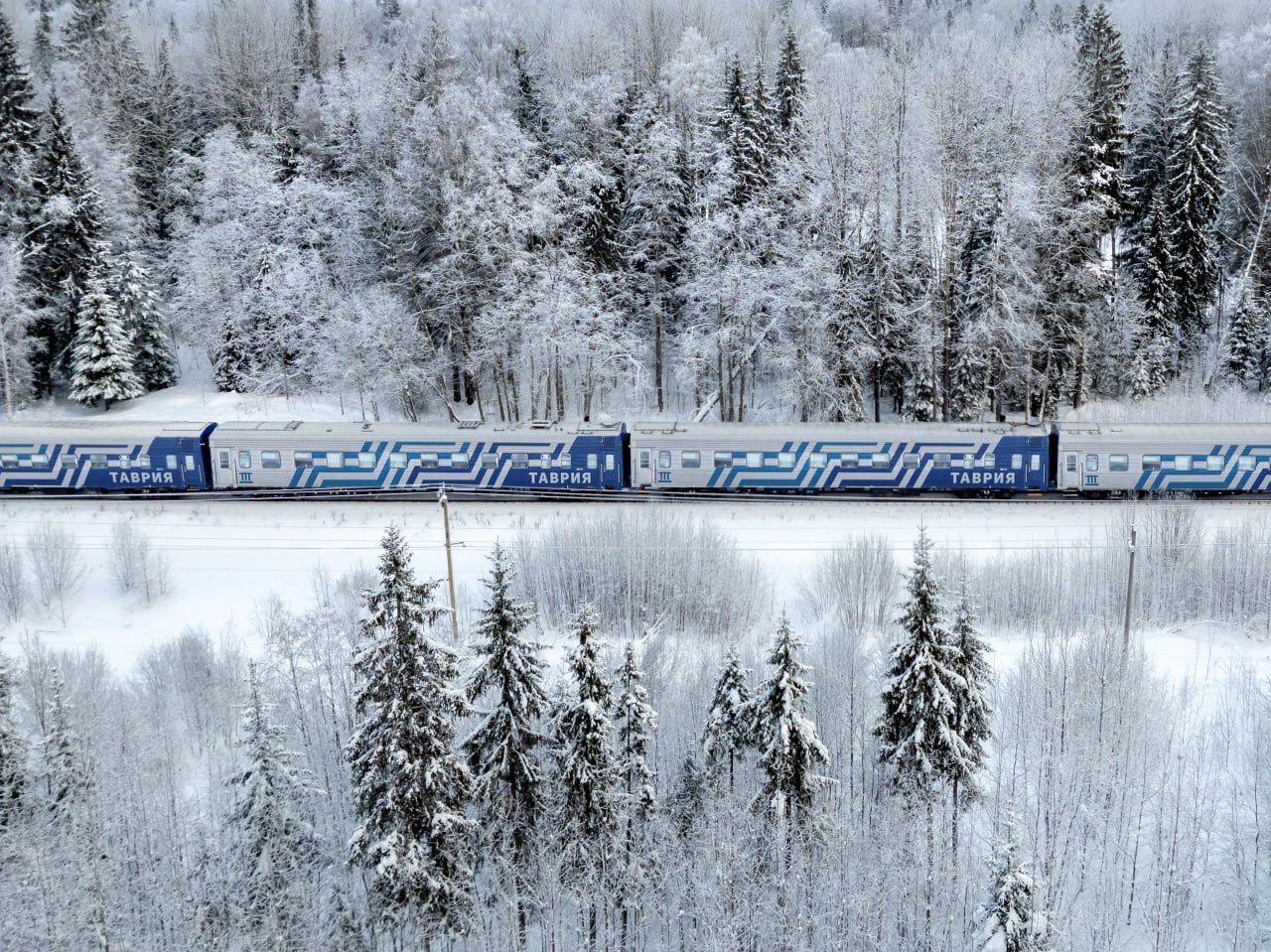 На февромарт пустят больше поездов Как сообщает СвЖД поезд 229 Пермь Москва отправится в столицу 19 февраля и 5 марта в 11 21 А 239 Екатеринбург Москва 23 февраля и 9 марта в 05 19 Обратно поезд 240 из столицы в Екатеринбург отправится из столицы 20 февраля и 6 марта в 21 05 А 230 Москва Пермь 24 февраля и 10 марта в 21 05 В составах есть места для пассажиров с детьми а также маломобильных пассажиров багажные купе доступна услуга перевозки домашних животных Уточнить расписание и приобрести билеты можно на сайте ОАО РЖД в мобильном приложении РЖД Пассажирам и в кассах       Подписаться на Properm ru