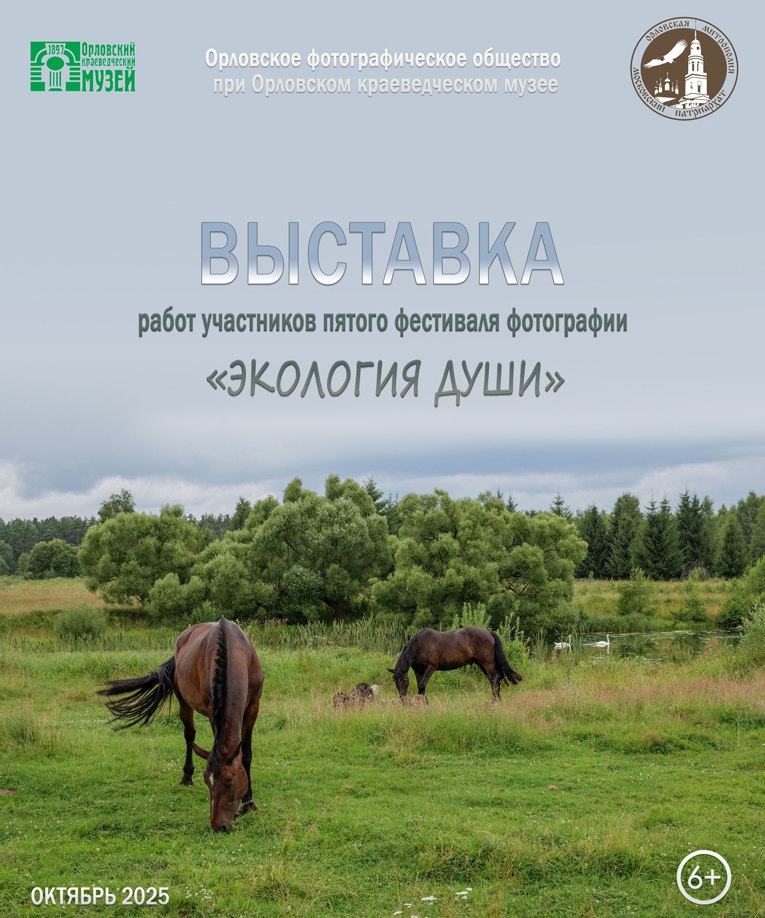 В ОКМ работает отчетная фотовыставка фестиваля Экология души 16 октября в Орловском краеведческом музее открылась отчетная фотовыставка V фестиваля Экология души www infoorel ru news v okm rabotaet otchetnaya fotovystavka festivalya ekologiya dushi html