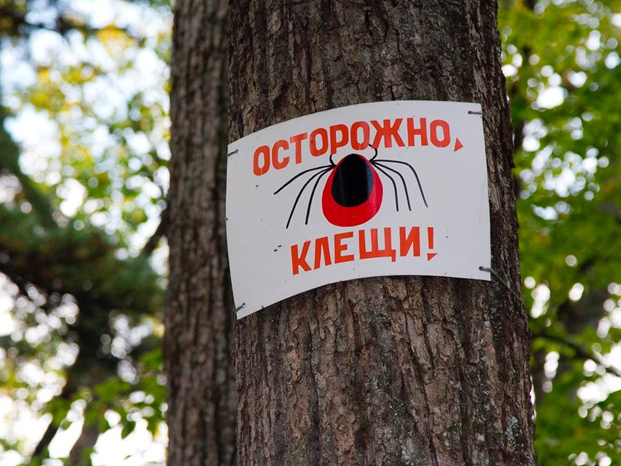С начала сезона в больницы Татарстана из-за укусов клещей обратились свыше 7 тыс. человек С начала сезона в больницы Татарстана с укусами клещей обратились 7 149 человек, из них 1 852 — дети. Об этом сообщает Роспотребнадзор по РТ. Больше всего обращений зарегистрировано среди жителей: •Казани — 2 403 человека; •Набережных Челнов — 803 случая; •Нижнекамского района — 512 случаев. Выявлено два случая клещевого боррелиоза и один случай клещевого энцефалита. Заражение произошло после отдыха в лесу на территории Республики Башкортостан. Противоклещевые обработки проведены на площади 2 961,9 га, что составляет 106% от запланированного объема. Иммунизацией против клещевого энцефалита охвачено 11 673 человека, или 76,9% от запланированного показателя. Подписаться Сообщить новость
