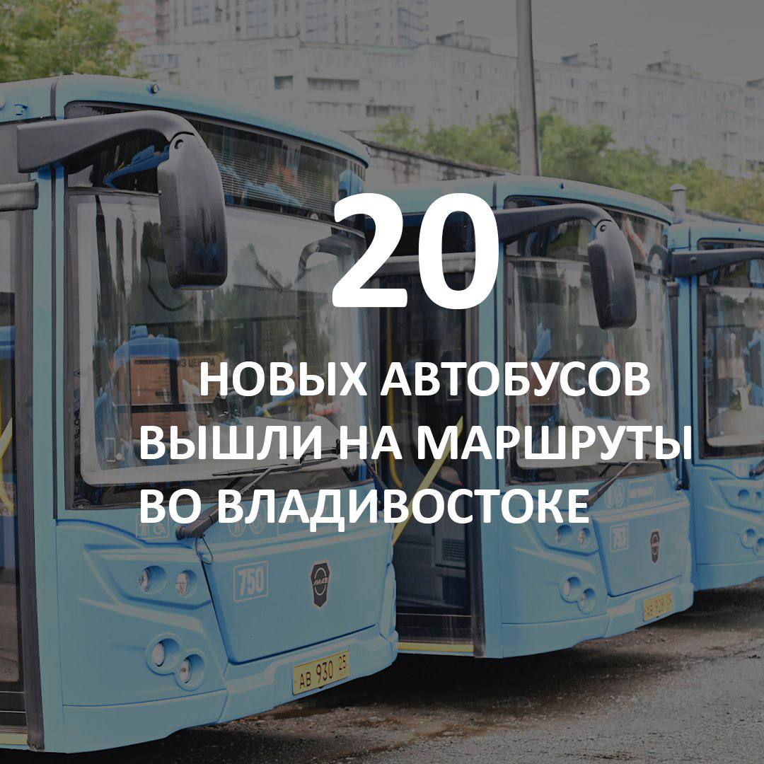 #Итоги2024 #Транспорт   Для муниципального предприятия «ВПОПАТ № 1» закуплены 15 автобусов большого класса и 5 автобусов среднего класса.    Пополнение автопарка позволило запустить во Владивостоке новые маршруты: №11 и № 22К.    Приобретены 16 современных троллейбусов. Пять из них уже вышли на маршруты № 11 и  № 5. В будущем планируется создать новый маршрут до микрорайона Снеговая Падь.    За счет экономии от предыдущих торгов дополнительно заключен контракт на поставку еще четырех троллейбусов. Таким образом, в 2025 году городской парк электрического транспорта будет состоять из 20 современных троллейбусов.   В 2025 году автопарк муниципального предприятия пополнится еще 30 новыми автобусами среднего и большого классов, а также одним автобусом малого класса.