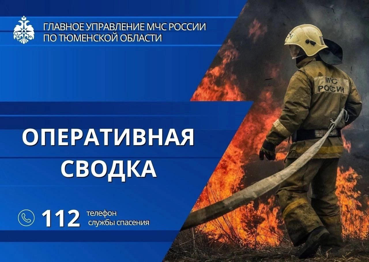 За минувшие сутки в Тюменской области:     на водных объектах зафиксировано 1 происшествие;  на ликвидацию последствий ДТП подразделения привлекались 6 раз;   зафиксировано техногенных 4 пожара;   оказана помощь населению 1 раз.     12 июля в пятом часу вечера в Тюмени  на улице Боровской произошёл пожар в квартире многоэтажного жилого дома. Площадь пожара составила 0,5 квадратных метра. Пострадавших нет.   Предварительная причина - неосторожное обращение с огнем.    В пять часов вечера на автодороге "Нижняя Тавда-Троицкое" произошел пожар в автомобиле "Ауди". Площадь пожара составила 5 квадратных метров. Пострадавших нет.   Предварительная причина - короткое замыкание.     В десятом часу вечера на улице Черепанова в Тюмени горела хозяйственная постройка. Огонь повредил также соседнюю постройку, кровлю и обшивку дома. Общая площадь пожара составила 50 квадратных метров. Никто не пострадал.   Предварительная причина - нарушение правил устройства и эксплуатации печи.    Температура воздуха днем +16...+21, облачно, с прояснениями, умеренные  дожди, грозы. Ветер северо-западный, 8-13 м/с, при грозе порывы до 15-20 м/с.    Ваша безопасность – ваша ответственность!