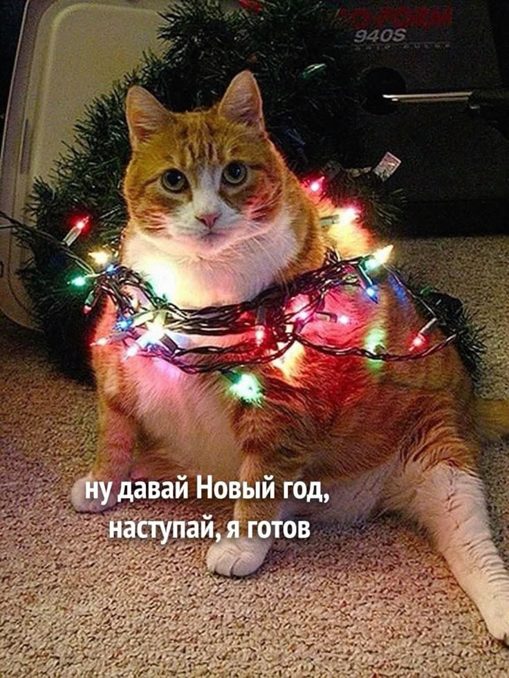 Мерцающие гирлянды вредят зрению и могут вызвать эпилепсию Специалисты говорят что быстрые вспышки синхронизируют активность мозга тем самым перегружая зрительную кору Это то и приводит к головной боли сухости и жжению в глазах Самым опасным считается мигание чаще трех раз в секунду Даже стабильные светодиоды мерцают с частотой 100 200 Гц что утомляет мозг Поэтому надо выбирать теплый белый свет отключать режим мигания и снижать яркость   Подпишись на КП Екатеринбург Мы в Max