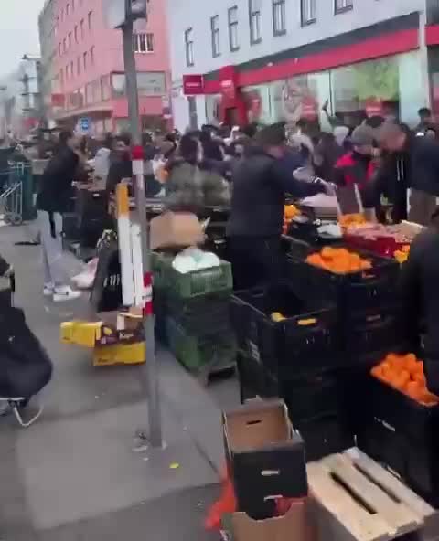 Вена и Брюссель: демографические изменения и влияние эмиграции