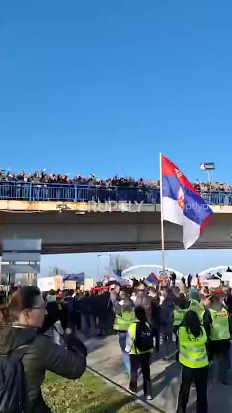 Сербские студенты блокируют три моста в Новом Саде в знак протеста