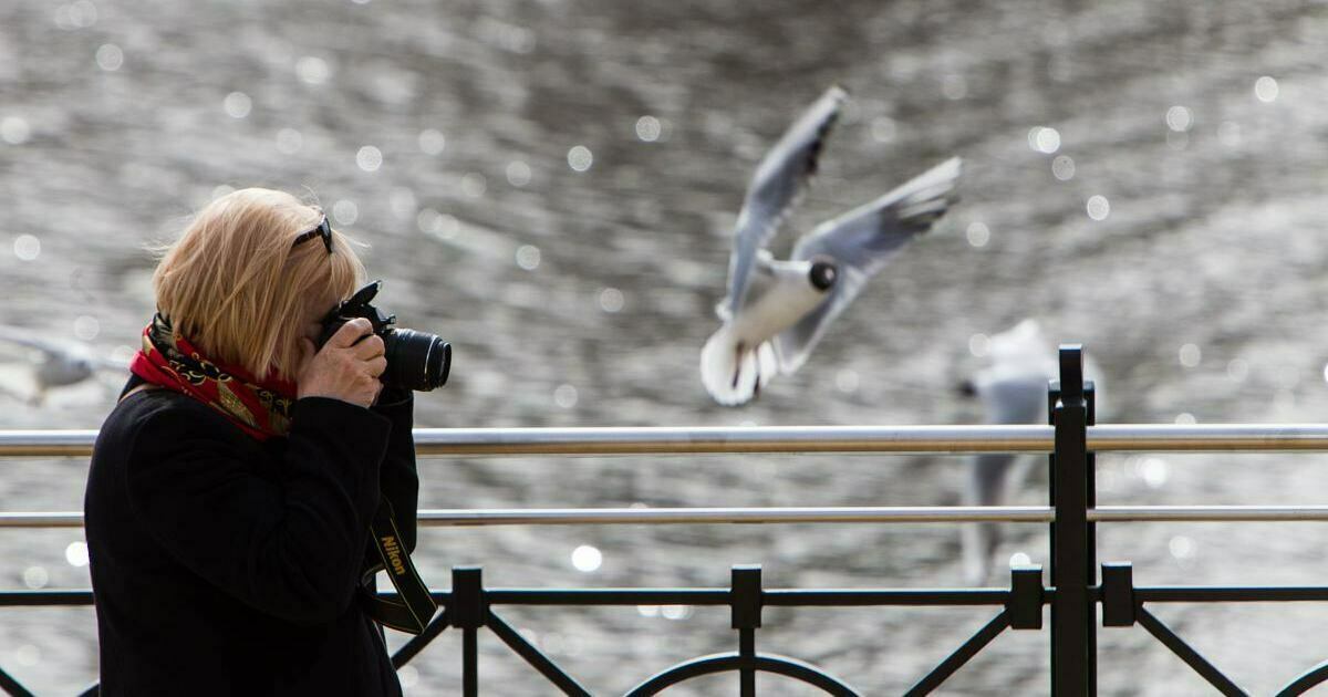 Калининградская область перехватила часть туристов не доехавших до Кубани эксперты В 2025 году Калининградская область заметно усилила свои позиции на туристической карте РФ приняв около 2 5 млн гостей Как следует из анализа данных регионов опубликованного АТОР рост интереса к самому западному субъекту страны оказался выше ожиданий властей и рынка Эксперты ссылаются на слова губернатора Алексея Беспрозванных заявившего что турпоток в Калининградскую область увеличился на 13 4 по сравнению с 2024 годом Цифра выше прогнозов которые изначально закладывались на уровне 9 Существенный рост подтверждают и данные Росстата за январь ноябрь 2025 го в отелях региона с ночёвками остановились 816 тысяч туристов плюс 11 2 год к году В АТОР отмечают что в 2025 году путешественники которые ранее выбирали курорты Краснодарского края могли переориентироваться на другие популярные для отдыха локации Общий спад турпотока на Кубани составил почти 10 регион недосчитался около 2 млн гостей